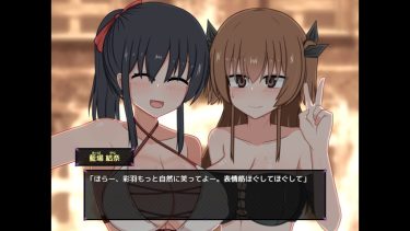 【神ゲー】制作期間５年OVER！？同人RPGの集大成が発売されてしまった件についてｗｗｗ｜風紀委員は女淫魔の夢を見るか?｜感想・レビュー