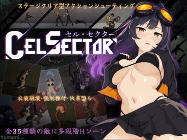 【超！攻略記事】CelSector